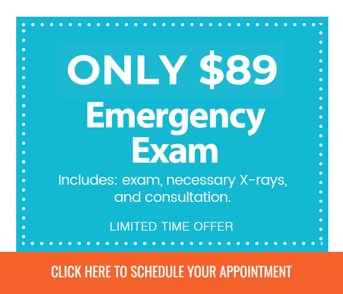 Emergency Exam Promo